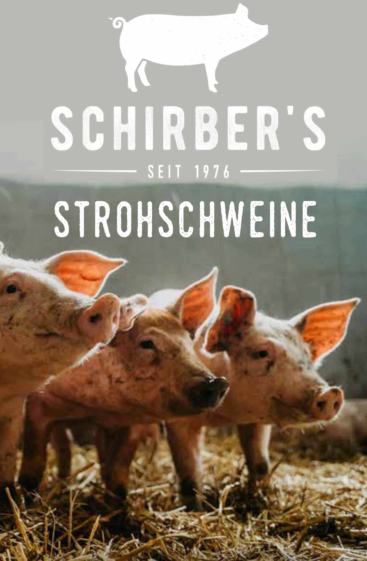 schirber-strohschweine